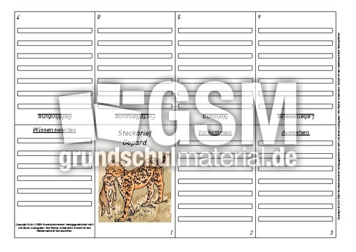 Faltbuch-Steckbrief-Gepard-3-1-2.pdf